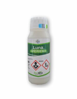 Luna Experience SC | 500 ml