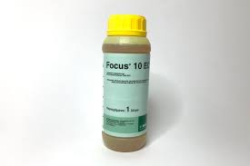 FOCUS 10EC 1lt