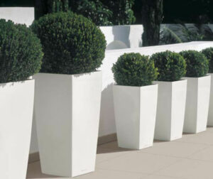 ΓΛΑΣΤΡΕΣ/ΖΑΡΝΤΙΝΙΕΡΕΣ