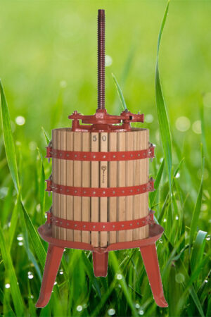 ΣΤΑΦΥΛΟΠΙΕΣΤΗΡΙΑ