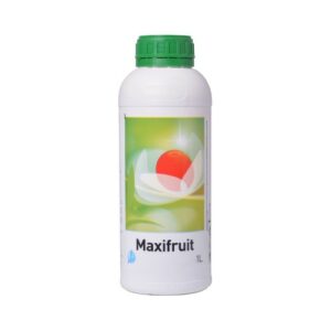 MAXIFRUIT 1LT