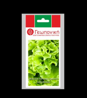 ΜΑΡΟΥΛΙ LOLLO BIONDA φακ. 5gr