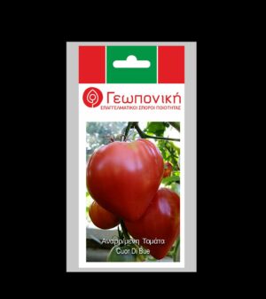 ΤΟΜΑΤΑ CUOR DI BUE ΦΑΚ 30 ΣΠΟΡΩΝ