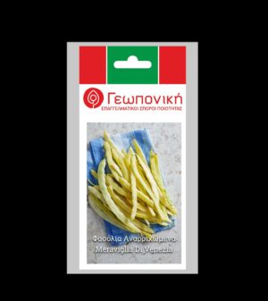 ΦΑΣΟΛΙ MERAVIGLIA DI VINEZIA A G.N. 2 ΦΑΚ 25 ΓΡ