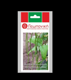 ΦΑΣΟΛΙ METRO STRINGA G. ROSA ΦΑΚ 25 ΓΡ