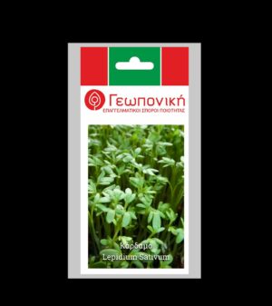 ΚΑΡΔΑΜΟ ΦΑΚ 25γρ