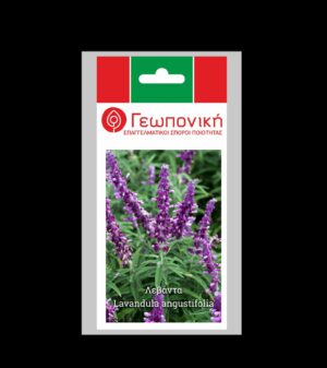 ΛΕΒΑΝΤΑ φακ. 2γρ