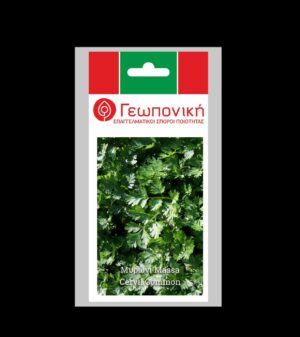 ΜΥΡΩΝΙ MASSA φακ.20gr