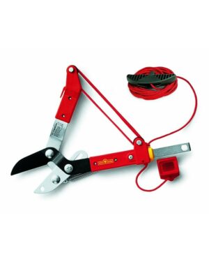 WOLF RC-M ΨΑΛΙΔΙ ΚΟΡΥΦΗΣ ΑΚΜΗΣ MULTISTAR