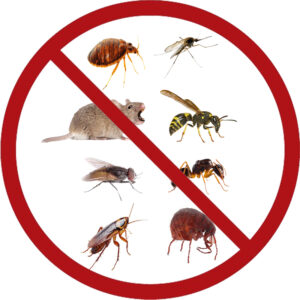 ΑΠΕΝΤΟΜΩΣΗ/ΜΥΟΚΤΟΝΙΑ