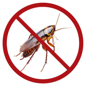 ΚΑΤΣΑΡΙΔΕΣ