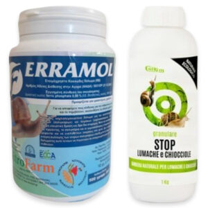 ΣΑΛΙΓΚΑΡΙΑ