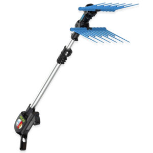 ΕΛΑΙΟΡΑΒΔΙΣΤΙΚΑ ΜΠΑΤΑΡΙΑΣ