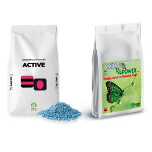 ΚΡΥΣΤΑΛΛΙΚΑ