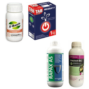 ΕΝΤΟΜΟΚΤΟΝΑ