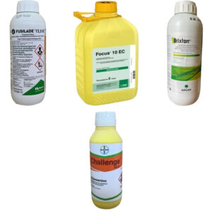 ΖΙΖΑΝΙΟΚΤΟΝΑ