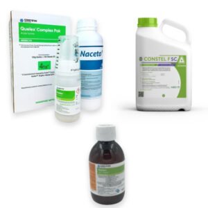 ΜΕΤΑΦΥΤΡΩΤΙΚΑ