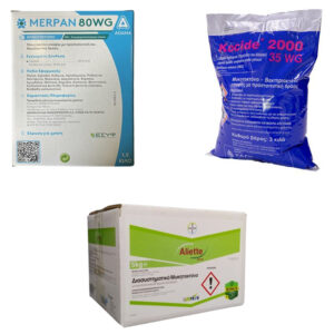 ΜΥΚΗΤΟΚΤΟΝΑ