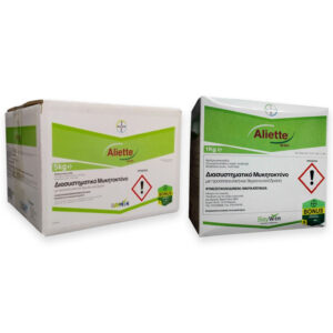 ΕΜΒΑΠΤΙΣΗ ΡΙΖΩΜΑΤΟΣ