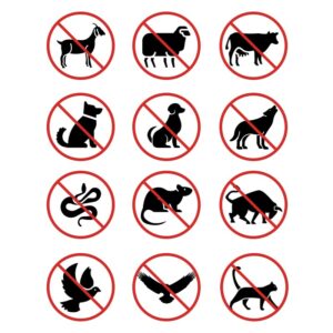 ΑΠΩΘΗΤΙΚΑ-ΠΑΓΙΔΕΣ