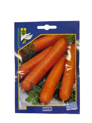 ΚΑΡΟΤΟ ΦΑΚΕΛΛΟ ΕΡΑΣΙΤΕΧΝΙΚΑ